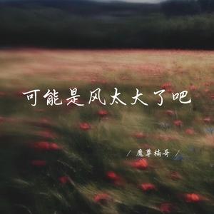 可能是风太大了吧