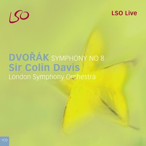 Symphony No. 8 in G Minor, Op. 88, B. 163: II. Adagio