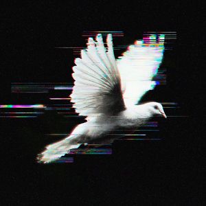 Целься в сердце