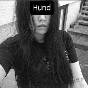 Hund