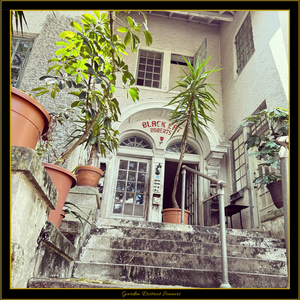 11 Ward Albatross 78