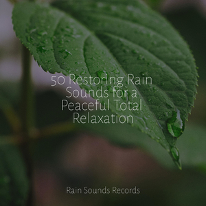 The Murky Melody of Croak Creek