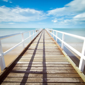 明日を目指して (feat. 稲垣星良)