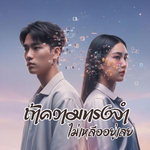 ถ้าความทรงจำไม่เหลืออยู่เลย