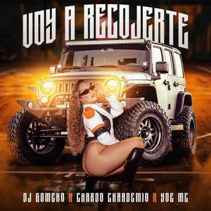 VOY A RECOGERTE