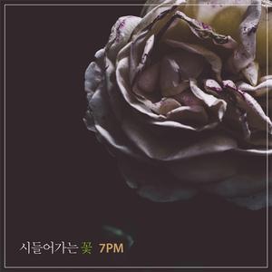 시들어 가는 꽃