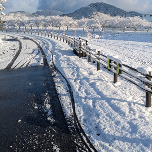 もしも心が届いたら