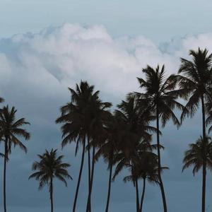 遗忘（Prod.by URBOIWHELAN）