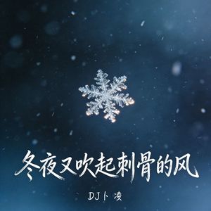 01- 冬夜又吹起刺骨的风-DJ卜凌