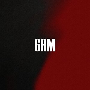 Gam