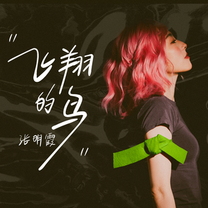 飞翔的鸟（伴奏）