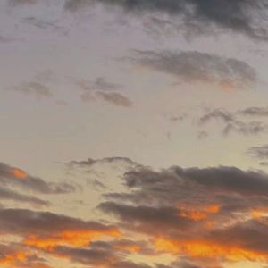 我至少曾经抓到