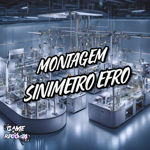 Montagem Sinimetro Efro