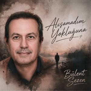 Alışamadım Yokluğuna