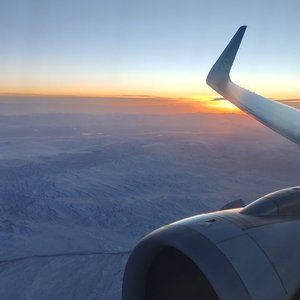 你当像鸟儿飞往你的山