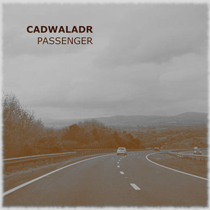 Passenger