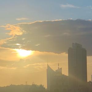 每一片落叶都知你名姓