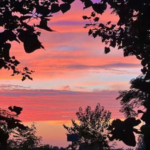 花影长相依-整曲