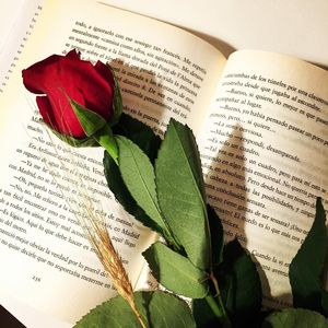 Да да да ( Remix ×0.8)