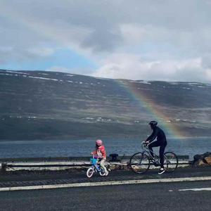 當歸（2026 Ver.）