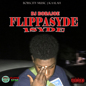 FlippaSyde 1 Syde