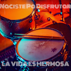 Naciste Pa Disfrutar