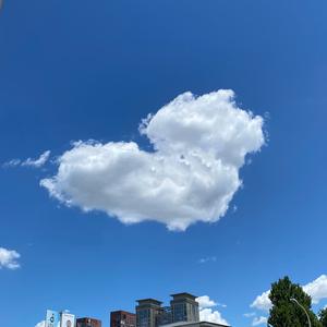 只想把你偷偷藏好