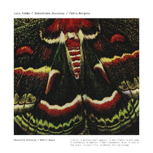 Before Falling Asleep