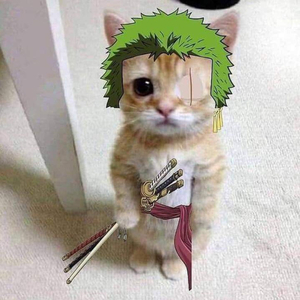 ZORO (FROM ÖNE PIECE") (SLOWED)