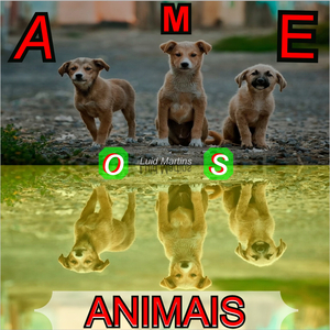 Ame os Animais