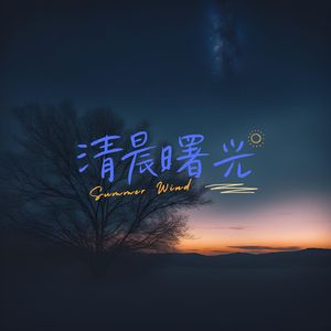晨曦微光 (钢琴曲)