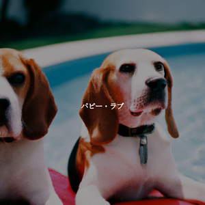 Carefree Ambiance for Lively Tones