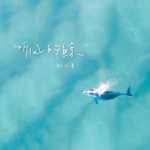 听风的鲸