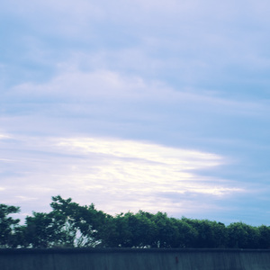 我的小船里 (治愈纯音乐)