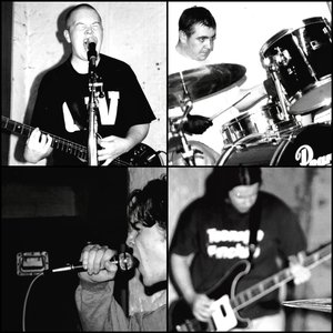 If a Chimp Took off You Couldn't Fight It