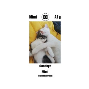 Mimi & Alg