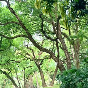 时光旅人的日记