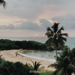 适合办公事务浪漫的音乐