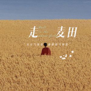 走麦田（cover：裁缝铺）