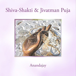 Shiva-Shakti Puja