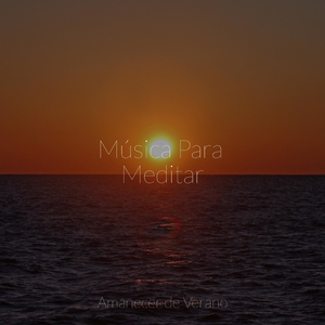 Encantadoras Claros Nocturnos