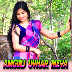 Amginj Uyhar Meya