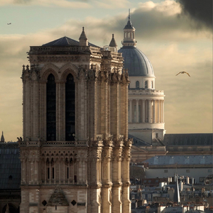 Chris Jr: Once in a Lifetime