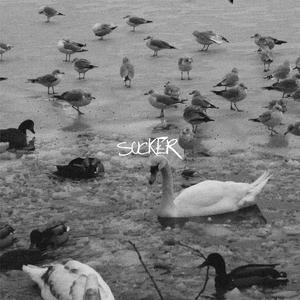 SUCKER