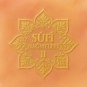 İrfan Meclisine Erişebilsem