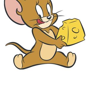 在你发梢吻微风