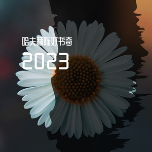 等你的日子不值一提