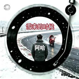 雪来的时候