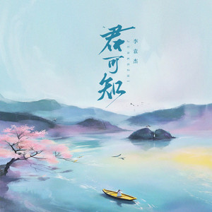 君可知 (DJ豪大大版伴奏)