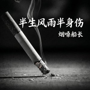 半生风雨半身伤（翻自 张艺迈）